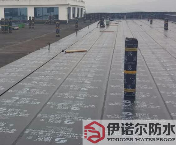 蘇州工廠房屋防水